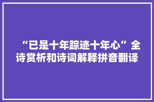 “已是十年踪迹十年心”全诗赏析和诗词解释拼音翻译