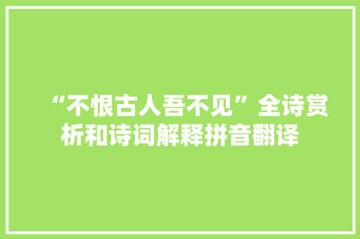 “不恨古人吾不见”全诗赏析和诗词解释拼音翻译