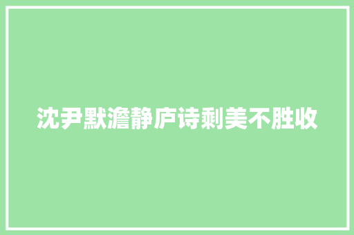 沈尹默澹静庐诗剩美不胜收