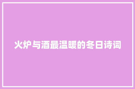 火炉与酒最温暖的冬日诗词 火炉与酒最温暖的冬日诗词