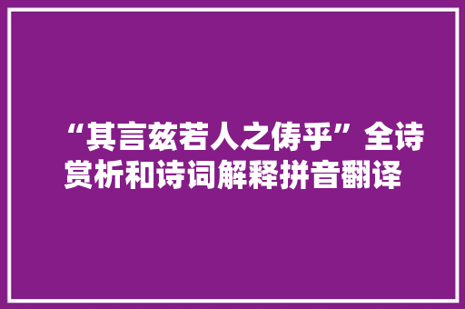 “其言兹若人之俦乎”全诗赏析和诗词解释拼音翻译