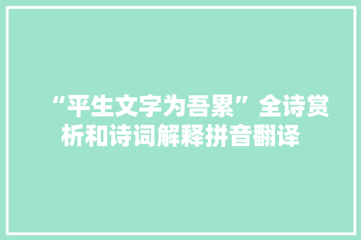 “平生文字为吾累”全诗赏析和诗词解释拼音翻译