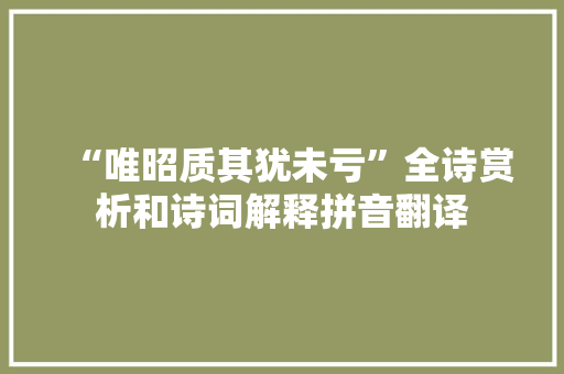 “唯昭质其犹未亏”全诗赏析和诗词解释拼音翻译