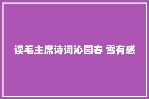 读毛主席诗词沁园春 雪有感