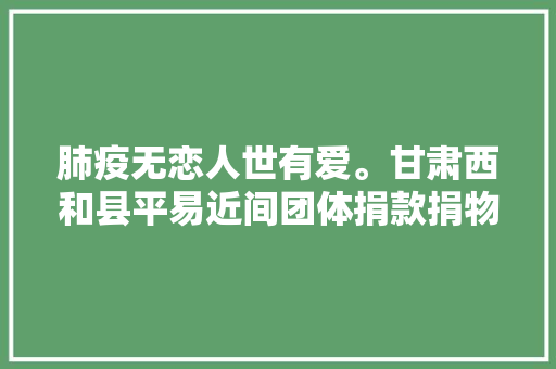肺疫无恋人世有爱。甘肃西和县平易近间团体捐款捐物支持抗疫一线