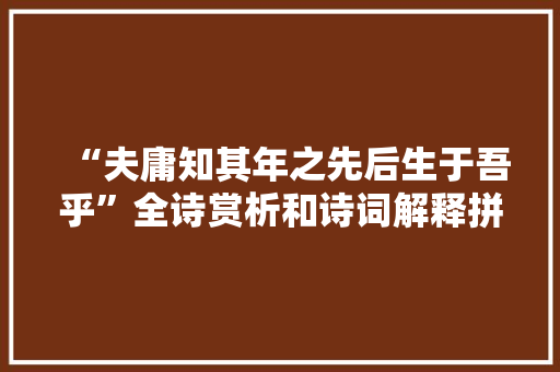 “夫庸知其年之先后生于吾乎”全诗赏析和诗词解释拼音翻译