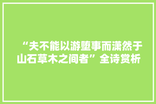 “夫不能以游堕事而潇然于山石草木之间者”全诗赏析和诗词解释拼音翻译