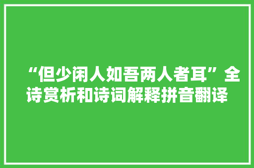 “但少闲人如吾两人者耳”全诗赏析和诗词解释拼音翻译