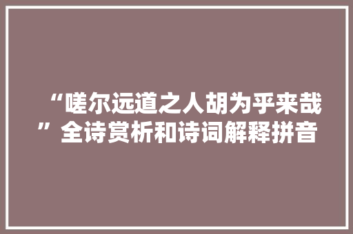 “嗟尔远道之人胡为乎来哉”全诗赏析和诗词解释拼音翻译
