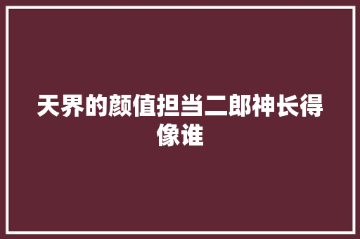 天界的颜值担当二郎神长得像谁