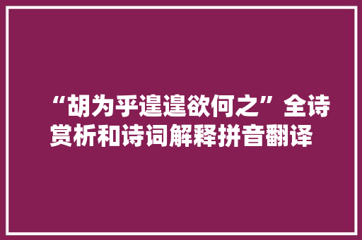 “胡为乎遑遑欲何之”全诗赏析和诗词解释拼音翻译