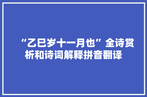 “乙巳岁十一月也”全诗赏析和诗词解释拼音翻译