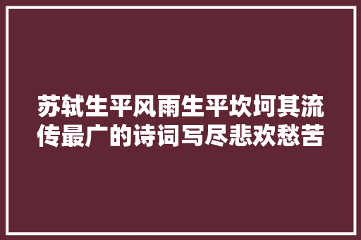 苏轼生平风雨生平坎坷其流传最广的诗词写尽悲欢愁苦