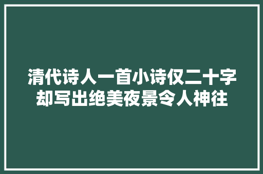 清代诗人一首小诗仅二十字却写出绝美夜景令人神往