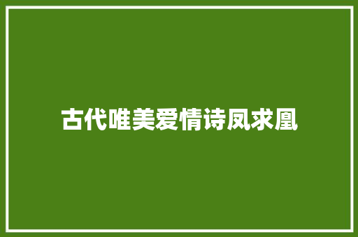 古代唯美爱情诗凤求凰