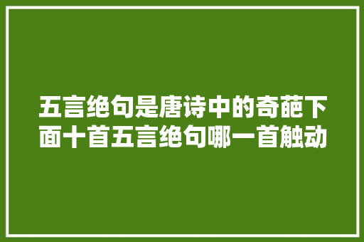 五言绝句是唐诗中的奇葩下面十首五言绝句哪一首触动你的心