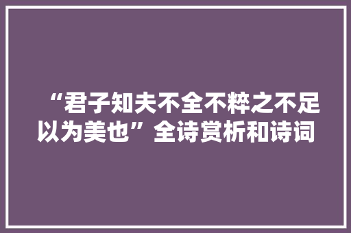 “君子知夫不全不粹之不足以为美也”全诗赏析和诗词解释拼音翻译
