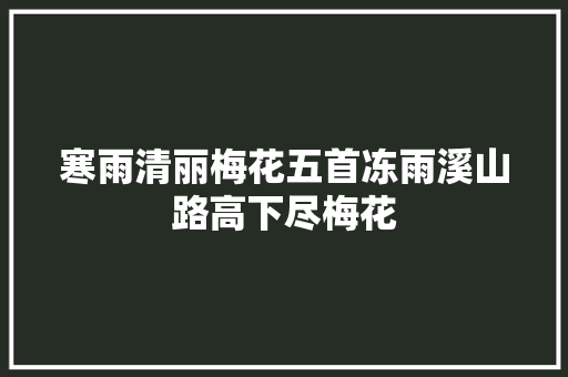 寒雨清丽梅花五首冻雨溪山路高下尽梅花