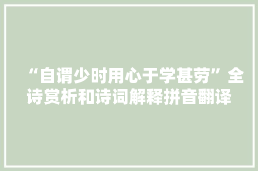 “自谓少时用心于学甚劳”全诗赏析和诗词解释拼音翻译