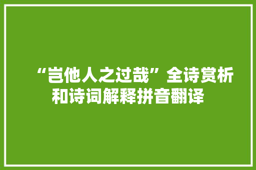 “岂他人之过哉”全诗赏析和诗词解释拼音翻译