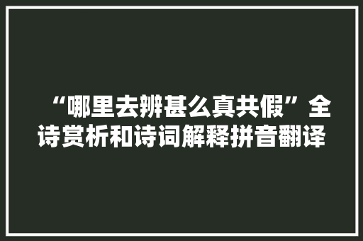 “哪里去辨甚么真共假”全诗赏析和诗词解释拼音翻译