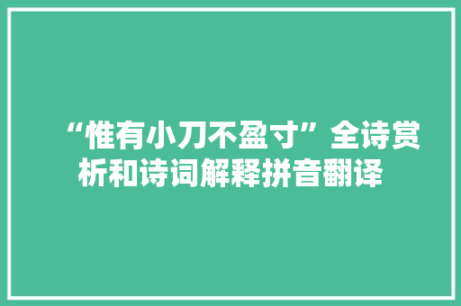 “惟有小刀不盈寸”全诗赏析和诗词解释拼音翻译