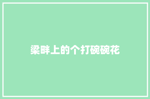 梁畔上的个打碗碗花