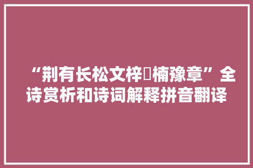 “荆有长松文梓楩楠豫章”全诗赏析和诗词解释拼音翻译