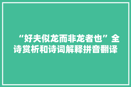 “好夫似龙而非龙者也”全诗赏析和诗词解释拼音翻译