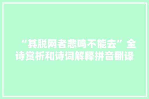 “其脱网者悲鸣不能去”全诗赏析和诗词解释拼音翻译
