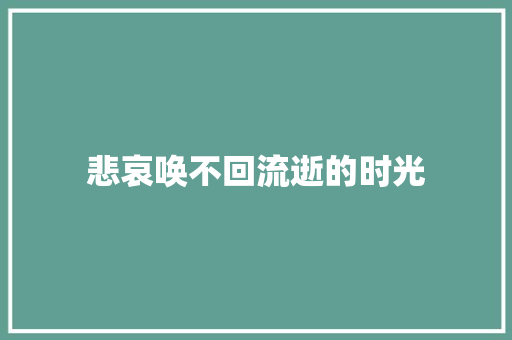 悲哀唤不回流逝的时光