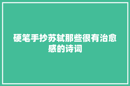 硬笔手抄苏轼那些很有治愈感的诗词