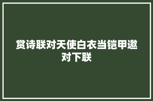 赏诗联对天使白衣当铠甲邀对下联