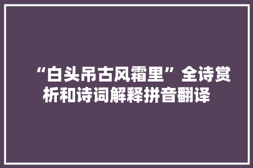 “白头吊古风霜里”全诗赏析和诗词解释拼音翻译
