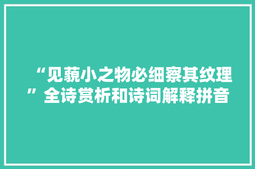 “见藐小之物必细察其纹理”全诗赏析和诗词解释拼音翻译