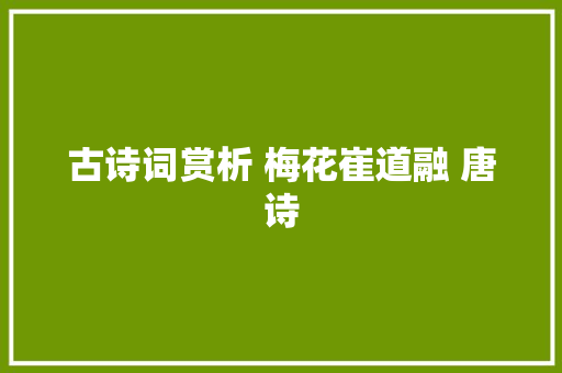 古诗词赏析 梅花崔道融 唐诗